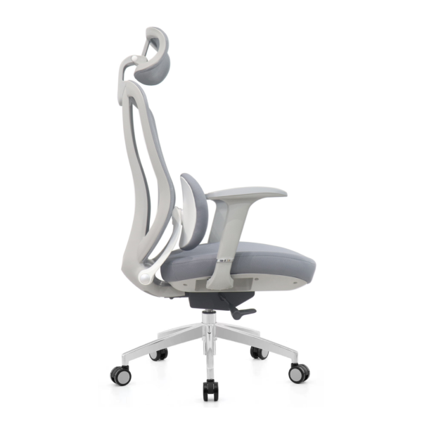 ADVOCATE Ergonomic Chair：圖片 2